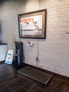 a dog is standing on a scale in the middle of a room with a brick wall