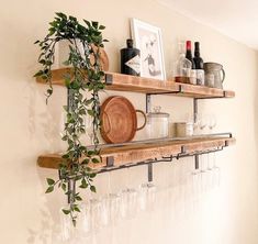 two wooden shelves with wine glasses and bottles on them next to a potted plant