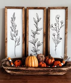 three framed pictures with plants and pumpkins on a wooden shelf next to each other