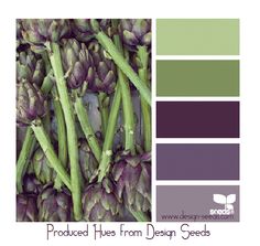 purple asparagus and green asparagus are the color palettes for this photo