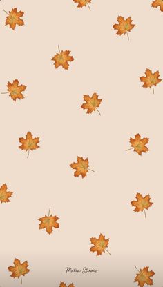 an orange and yellow leaf pattern on a white background