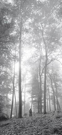 black and white photograph of two people walking through the woods on a foggy day