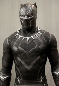 the black panther costume is seen in this image