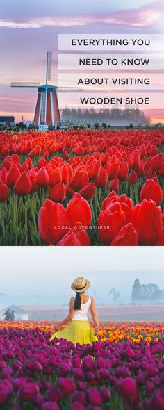 two pictures with the words, everything you need to know about visiting wooden shoe and an image of a woman in a tulip field