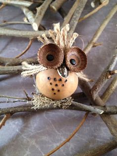 an owl sitting on top of a tree branch