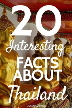 gold buddha statues with the words 20 interesting fact about thailand on it's side