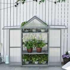 several potted plants sit in front of a small greenhouse with white walls and windows