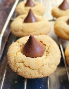 Peanut Butter Chocolate Kiss Cookies (aka Peanut Butter Blossoms) are the perfect combination of chewy peanut butter cookies and a chocolate kiss on top. A classic Christmas cookie found on every holiday cookie platter, this is one recipe for chocolate peanut butter cookies that gets made all year long. Chocolate Chip Shortbread, Chocolate Kiss Cookies, Peanut Butter Blossoms Recipe, Peanut Butter Kiss, Peanut Butter Kiss Cookies, Chocolate Chip Shortbread Cookies, Chewy Peanut Butter Cookies, Kiss Cookies, Like Mother Like Daughter