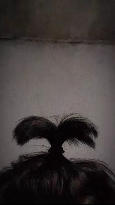 a black and white photo of a man's hair in the shape of a palm tree