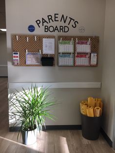 there is a potted plant in front of the bulletin board