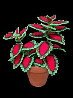 a small potted plant with red and green leaves in it's center, on a black background