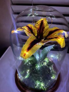 a yellow flower in a glass bowl on a table