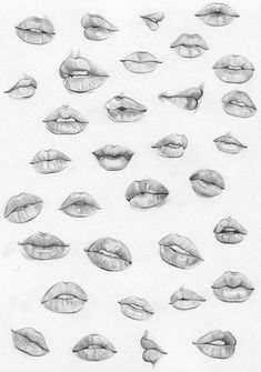 a drawing of many different types of lips