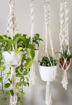 three macrame plant hangers with plants in them