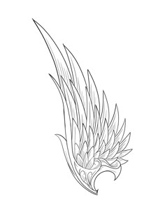 a drawing of a bird's wing on a white background