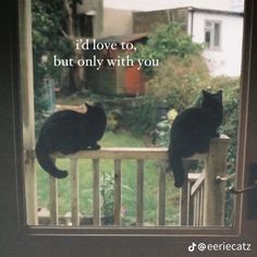 two black cats sitting on top of a window sill looking out at the yard