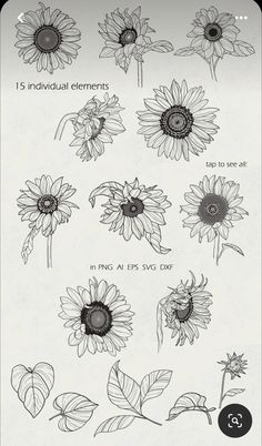 sunflowers and leaves are shown in black and white, with the words'15 individual