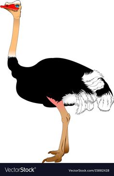 an ostrich is standing with its head down and it's eyes open