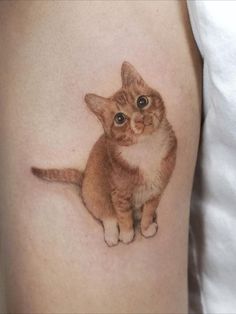 Adorable color realistic pet cat tattoo - EXP Haus in London Tiny Realistic Tattoo, Real Cat Tattoo, Cat Sitting Tattoo, Spine Tattoo Simple, Silly Cat Tattoo, Realistic Animal Tattoos, Small Tattoo Ideas Back