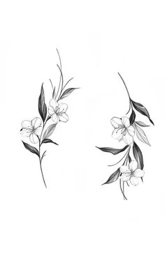 two drawings of flowers on a white background