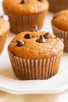 chocolate chip muffins on a plate with other muffins in the background