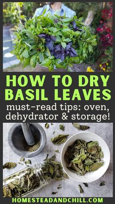 how to dry basil leaves, must read tips over dehydraator & storage