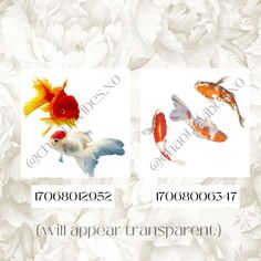 four different types of goldfish on white flowers