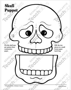 the skull puppet is shown with instructions to make it look like an adult sized skeleton