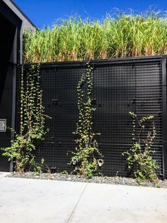 a black fence with green plants growing on it's top and the bottom half