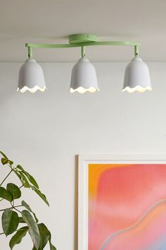 three lights are hanging from the ceiling above a table with a potted plant in front of it