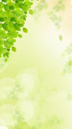 green leaves are hanging from the branches of a tree in front of a light colored background