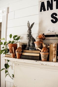 a shelf filled with books and plants on top of a white fireplace mantel topped with an antelope