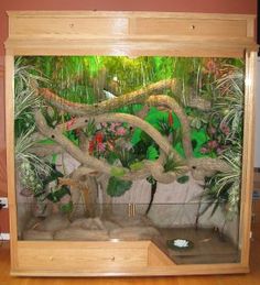 a fish tank with plants and trees in the bottom half, on top of a hard wood floor