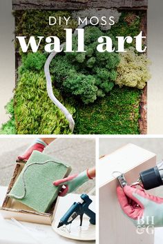 moss is being used to make wall art