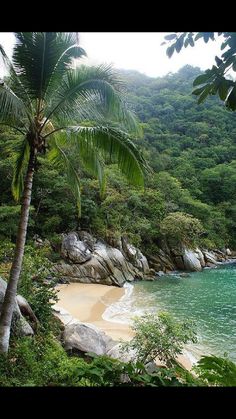 the beach is surrounded by trees and rocks