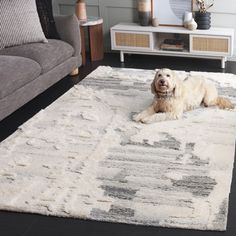 a dog laying on top of a rug in a living room