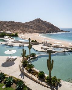 an aerial view of a resort pool and beach with cactus trees in the foreground