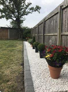 several potted plants are lined up along the side of a fenced in yard