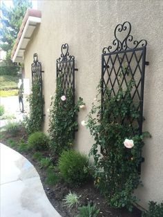 an outdoor area with plants and flowers on the side of a building, including roses