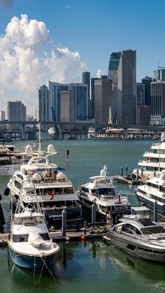 several boats are docked in the water near large city buildings and skyscrapers behind them