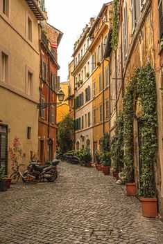 an old cobblestone street lined with buildings and potted plants on either side