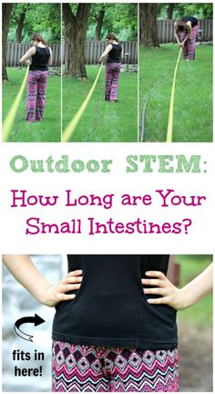 Human Biology STEM Activity: How Long are Your Small Intestines? fun and gross science for elementary and middle school ages! Outdoor Science, Human Body Unit Study, Human Body Science, Human Body Activities, Human Body Unit, Human Body Systems, Science Activities For Kids, Preschool Science, E Mc2