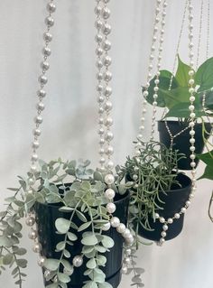 three hanging planters filled with plants and pearls