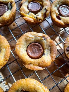 chocolate covered cookies cooling on a wire rack