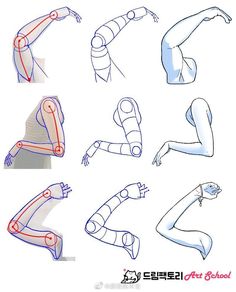 an image of different types of arms and legs in the same drawing technique as well as instructions for how to draw them