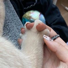 a person is holding a dog's paw with a ring on its thumb and it looks like they are getting their nails brushed