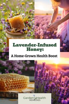 Lavender honey Infused Honey, Lavender Benefits, Growing Lavender, Buy Seeds, Herbal Healing, Healthy Benefits, Natural Health Tips, Healthy Mindset