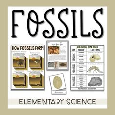 the book cover for how fossils form elementary science