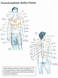 Meridian Balancing, Reflexology Pressure Points, Eft Technique, Nervous System Anatomy, Polarity Therapy, Dairy Free Breastfeeding, Hand Reflexology, Energy Therapy, Physical Therapy Exercises