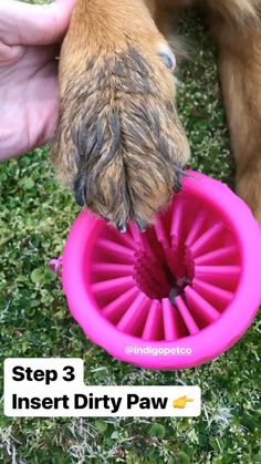 a person holding a dog's paw over a pink toy in the grass with it's paws